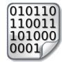 public_icones:binary-icon.png